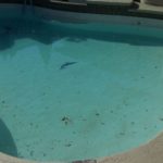 Dayton Ohio Country Club Swimming Pool and Spa Resurfacing